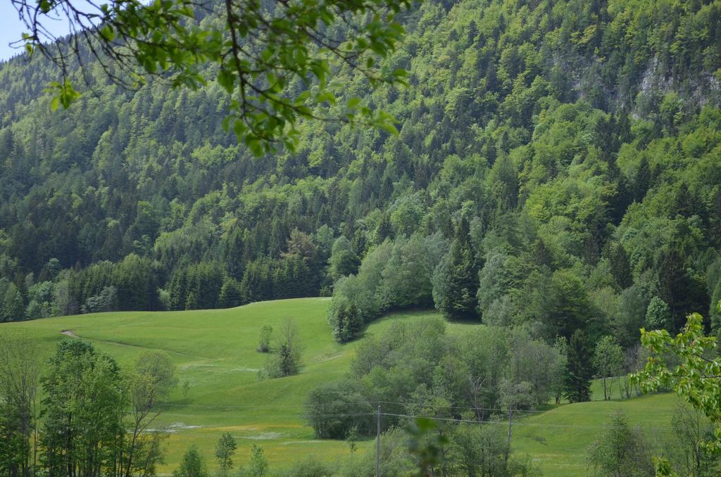 Bauernhof Konig Villa Anger  Buitenkant foto