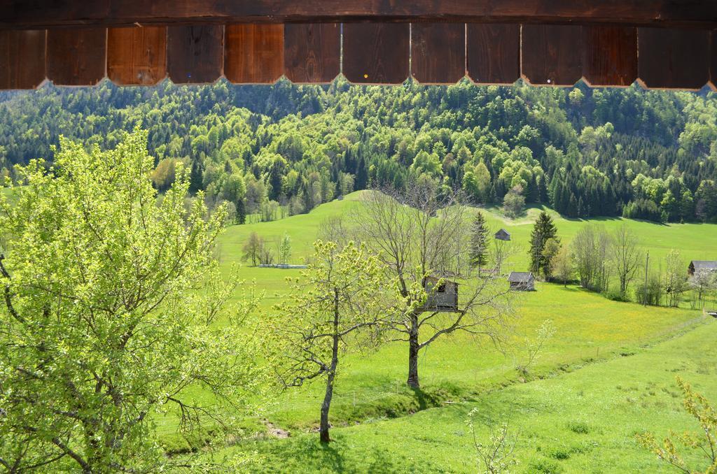 Bauernhof Konig Villa Anger  Buitenkant foto