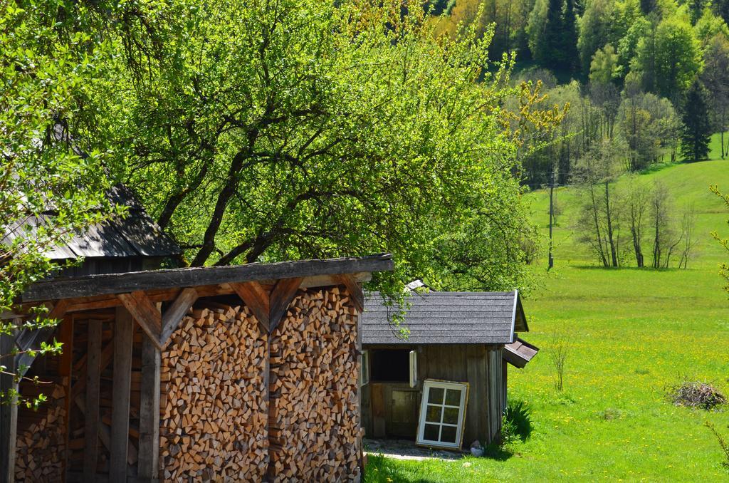 Bauernhof Konig Villa Anger  Buitenkant foto