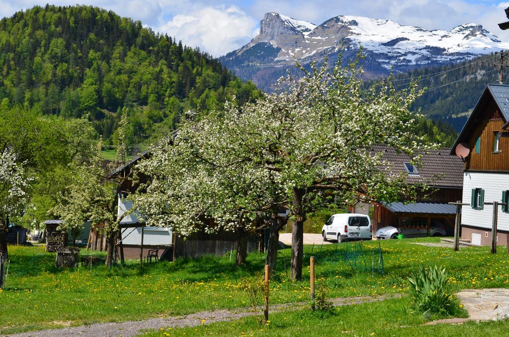 Bauernhof Konig Villa Anger  Buitenkant foto